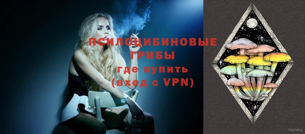 спиды Абаза