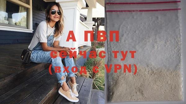 спиды Абаза