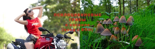 спиды Абаза