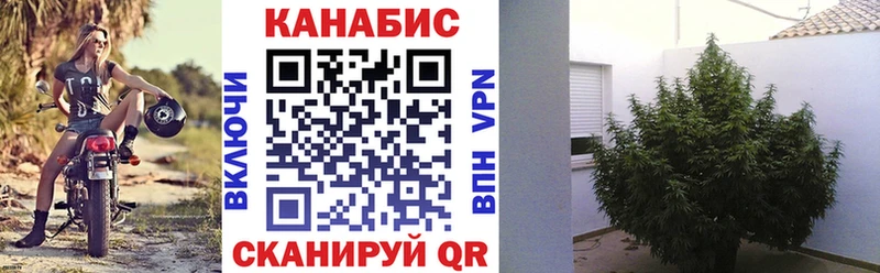 мега   Касли  Канабис индика  мориарти официальный сайт  цены  
